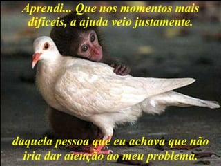 Aprendi... Que nos momentos mais difíceis, a ajuda veio justamente. daquela pessoa que eu achava que não iria dar atenção ao meu problema. 