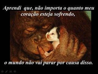 Aprendi  que, não importa o quanto meu coração esteja sofrendo,  o mundo não vai parar por causa disso. 