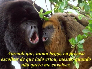 Aprendi que, numa briga, eu preciso escolher de que lado estou, mesmo quando não quero me envolver. 