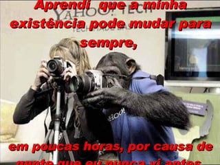 Aprendi  que a minha existência pode mudar para sempre,   em poucas horas, por causa de gente que eu nunca vi antes. 