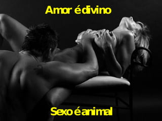 Amor é divino Sexo é animal 
