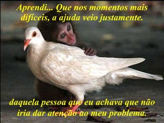 Aprendi... Que nos momentos mais difíceis, a ajuda veio justamente. daquela pessoa que eu achava que não iria dar atenção ao meu problema. 