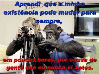 Aprendi  que a minha existência pode mudar para sempre,   em poucas horas, por causa de gente que eu nunca vi antes. 