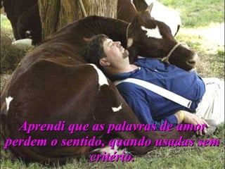 Aprendi que as palavras de amor perdem o sentido, quando usadas sem critério. 