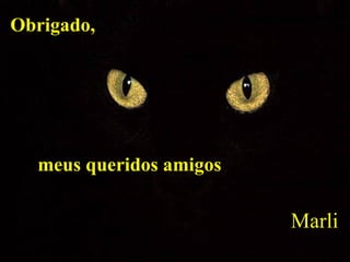Marli Obrigado,  meus queridos amigos 
