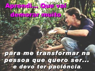 Aprendi... Que vai demorar muito para me transformar na pessoa que quero ser...   e devo ter paciência . 