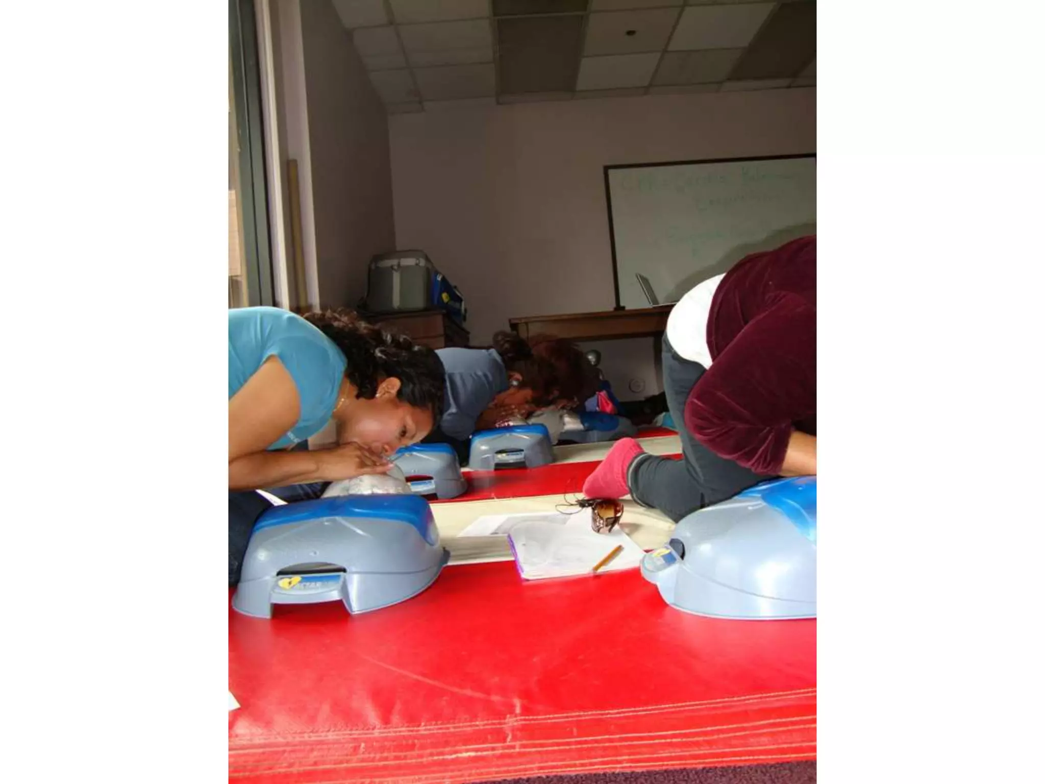 Opportunity Centers january- june 2010