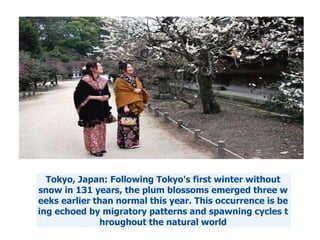 Tokyo, Japan : Following Tokyo's first winter without snow in 131 years, the plum blossoms emerged three weeks earlier than normal this year. This occurrence is being echoed by migratory patterns and spawning cycles throughout the natural world 