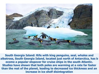 South Georgia Island : Rife with king penguins, seal, whales and albatross, South Georgia Island, located just north of Antarctica, has become a popular stopover for cruise ships in the south Atlantic.  Studies have shown that both poles are warming at a rate far faster than the rest of the planet, leading to decreased ice thickness and an increase in ice shelf disintegration 