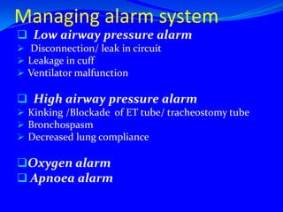    19 to 20 cm mark for females