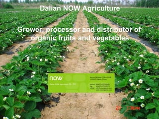 Dalian NOW Agriculture   Grower, processor and distributor of  organic fruits and vegetables 