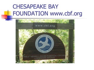 CHESAPEAKE BAY FOUNDATION www.cbf.org 
