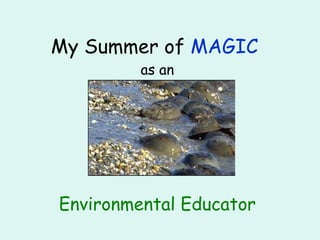 My Summer of  MAGIC   as an Environmental Educator  