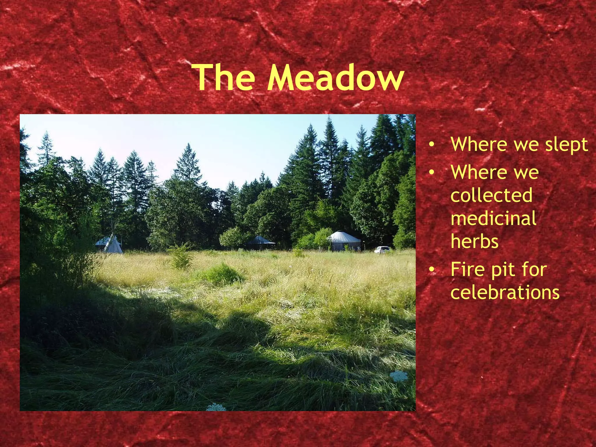 The Meadow Where we slept Where we collected medicinal herbs Fire pit for celebrations 