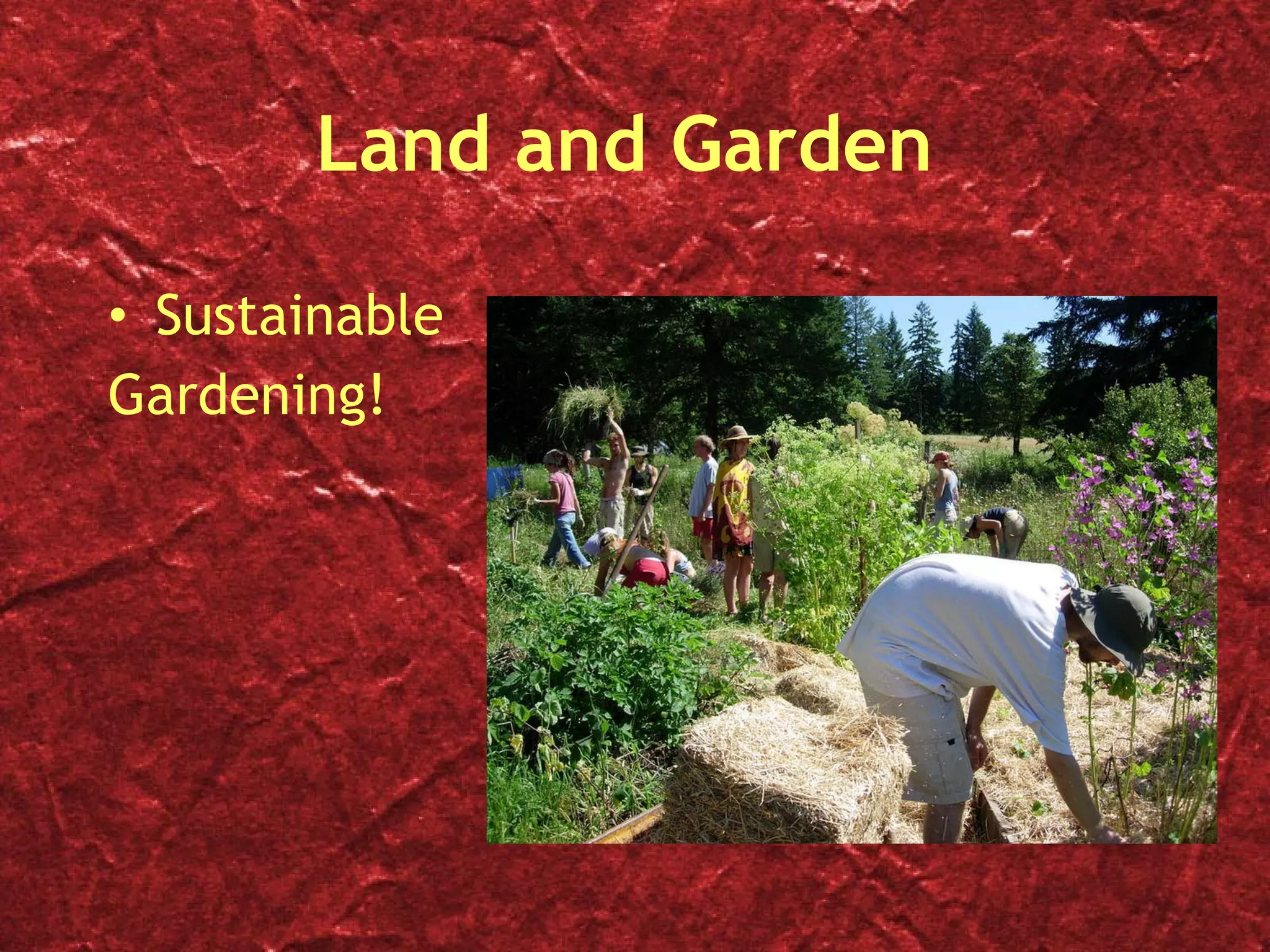 Land and Garden Sustainable  Gardening! 