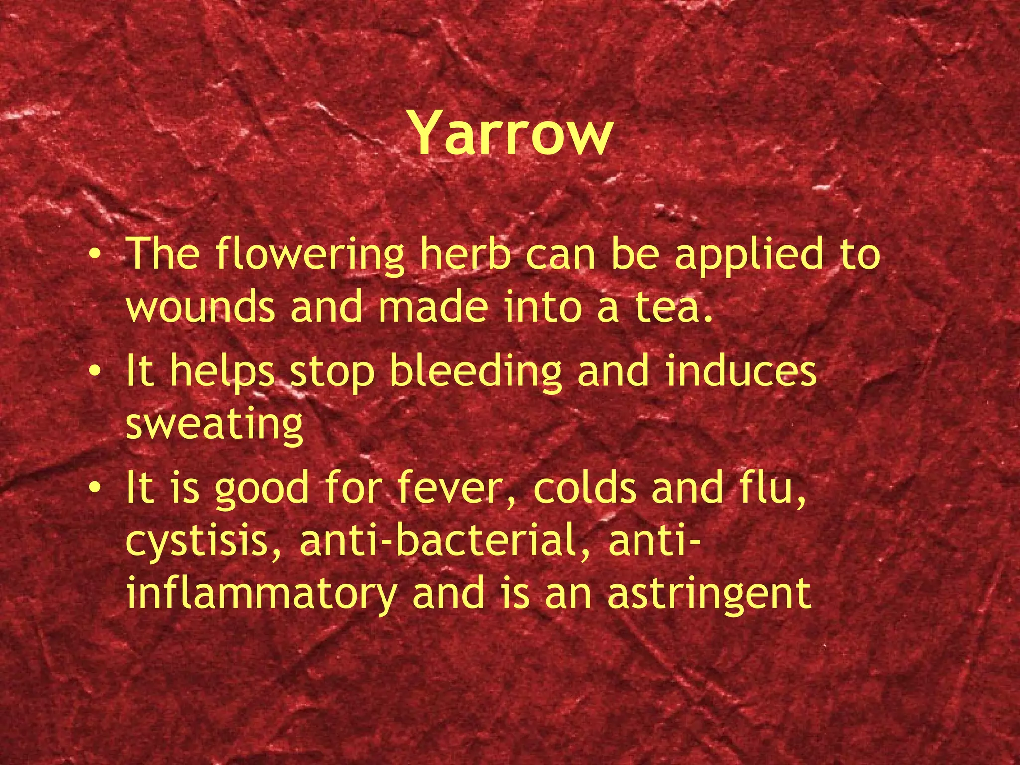 Yarrow The flowering herb can be applied to wounds and made into a tea. It helps stop bleeding and induces sweating It is good for fever, colds and flu, cystisis, anti-bacterial, anti-inflammatory and is an astringent 