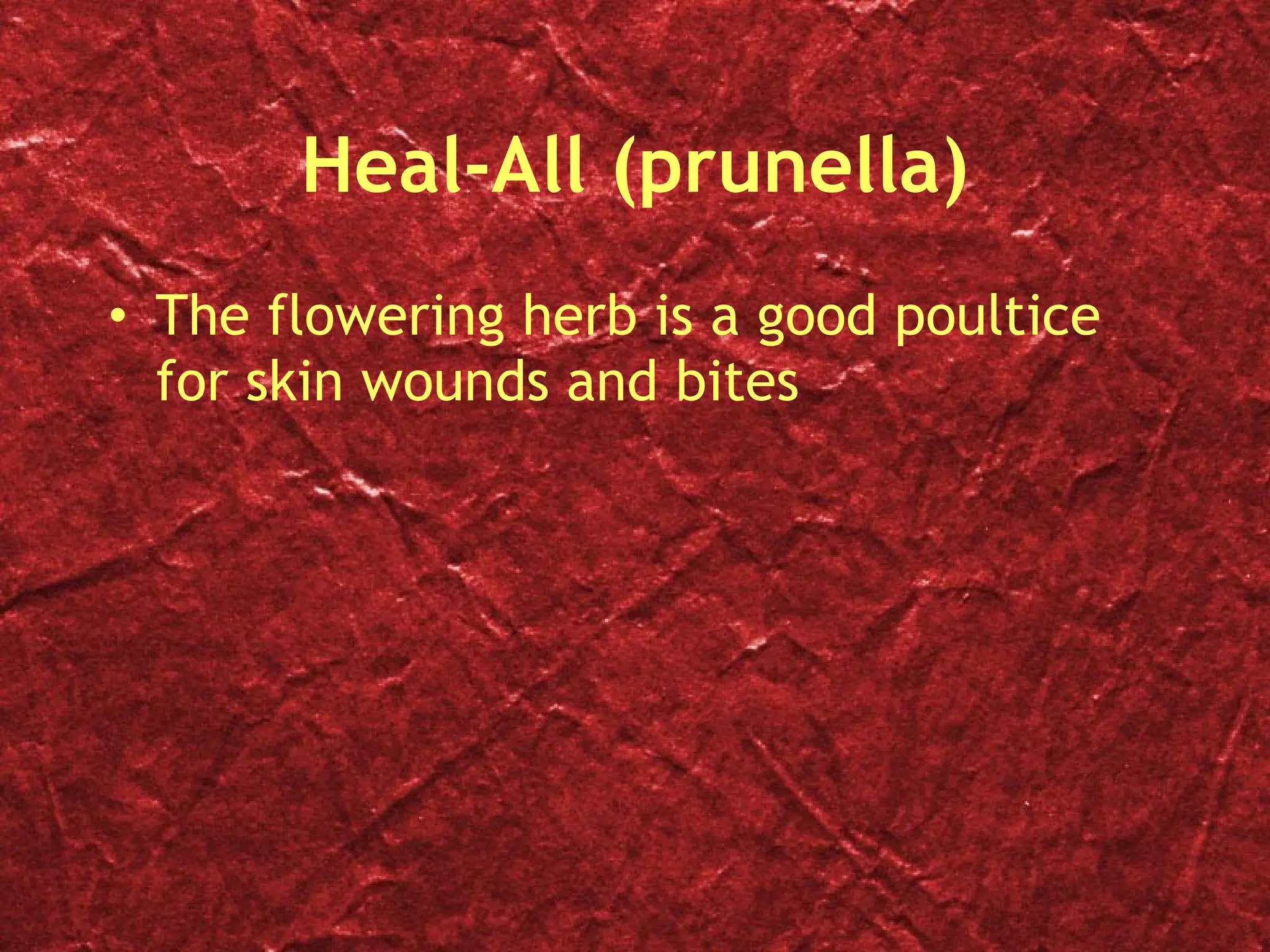 Heal-All (prunella) The flowering herb is a good poultice for skin wounds and bites 