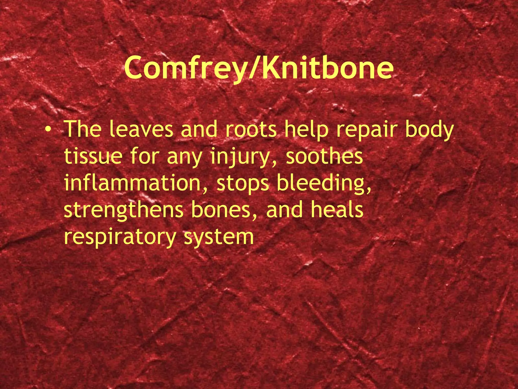 Comfrey/Knitbone The leaves and roots help repair body tissue for any injury, soothes inflammation, stops bleeding, strengthens bones, and heals respiratory system 