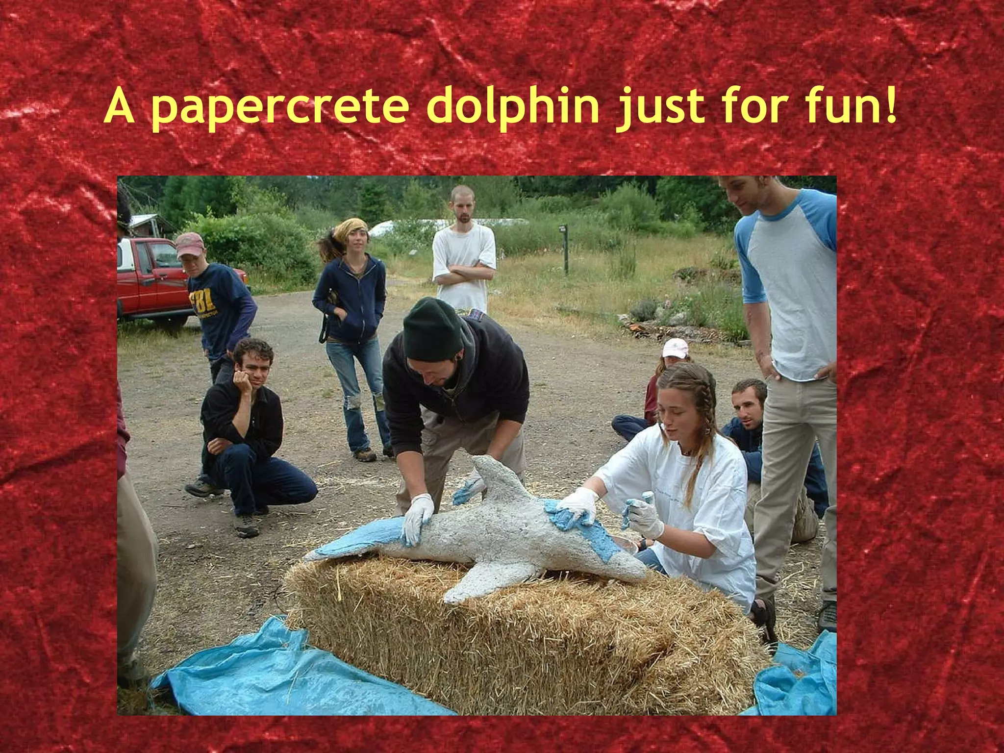 A papercrete dolphin just for fun! 