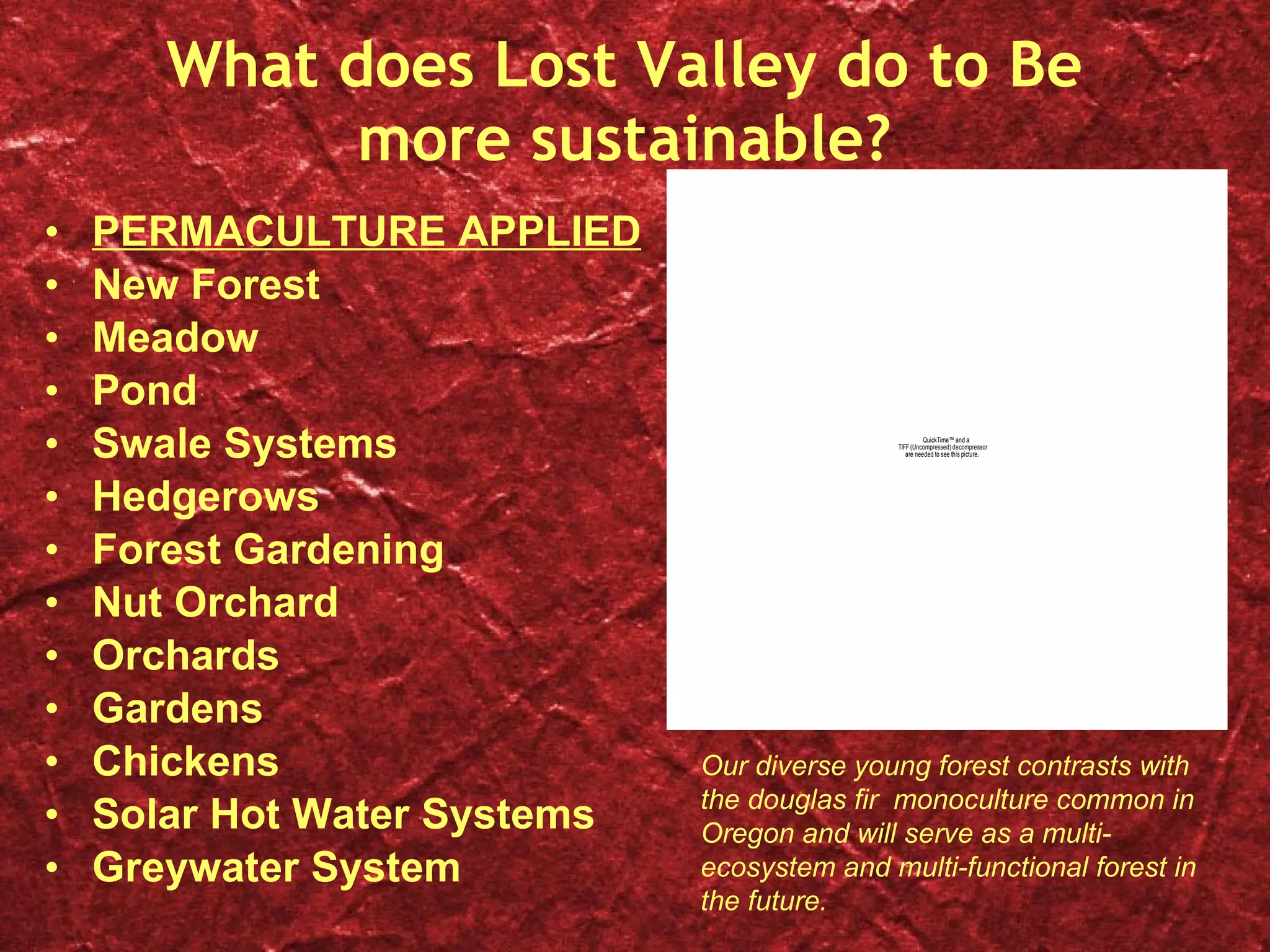 What does Lost Valley do to Be more sustainable? PERMACULTURE APPLIED New Forest Meadow Pond Swale Systems Hedgerows Forest Gardening Nut Orchard Orchards Gardens Chickens Solar Hot Water Systems Greywater System Our diverse young forest contrasts with the douglas fir  monoculture common in Oregon and will serve as a multi-ecosystem and multi-functional forest in the future. 