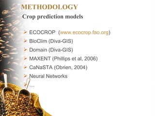 Coffee and Climate Change in Peru