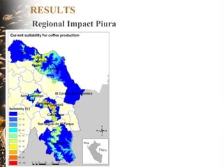 Coffee and Climate Change in Peru