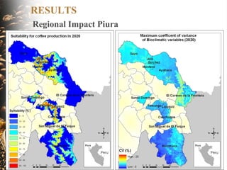 Coffee and Climate Change in Peru
