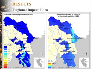 Coffee and Climate Change in Peru