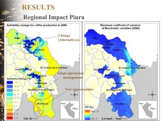 Coffee and Climate Change in Peru