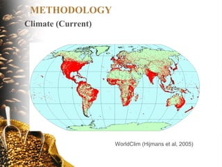 Coffee and Climate Change in Peru