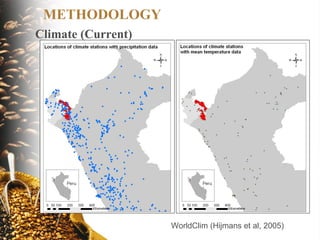 Coffee and Climate Change in Peru