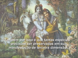 Também por isso é que tantas espécies precisam ser preservadas em sua manifestação de terceira dimensão,  