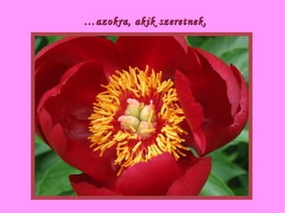 … azokra, akik szeretnek. 