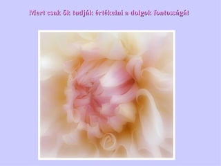 Mert csak ők tudják értékelni a dolgok fontosságát 