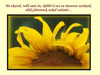 Ha akarod, tedd amit én, küldd el ezt az üzenetet azoknak, akik jelentenek neked valamit… 