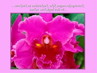 … azoknak az embereknek, akik megmosolyogtattak,  amikor szükséged volt rá… 