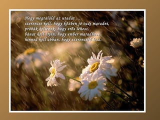 Hogy megtaláld az utadat  … szerencse kell, hogy közben jó tudj maradni, próbák kellenek, hogy erős lehess, bánat kell érjen, hogy ember maradhass, hinned kell abban, hogy szerencséd lesz . 