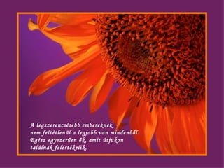 A legszerencsésebb embereknek  nem feltétlenül a legjobb van mindenből. Egész egyszerűen ők, amit útjukon  találnak felértékelik.   