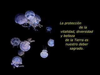 La protección  de la vitalidad, diversidad y belleza  de la Tierra es nuestro deber sagrado. 