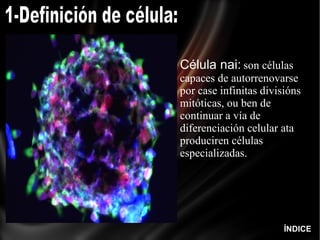Célula nai:   son células capaces de autorrenovarse por case infinitas divisións mitóticas, ou ben de continuar a vía de diferenciación celular ata produciren células especializadas.  ÍNDICE 1-Definición  de célula:   