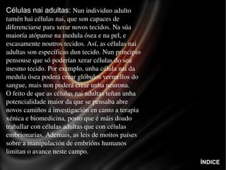 Células nai adultas:   Nun individuo adulto tamén hai células nai, que son capaces de diferenciarse para xerar novos tecidos. Na súa maioría atópanse na medula ósea e na pel, e escasamente noutros tecidos. Así, as células nai adultas son específicas dun tecido. Nun principio pensouse que só poderían xerar células do seu mesmo tecido. Por exemplo, unha célula nai da medula ósea poderá crear glóbulos vermellos do sangue, mais non poderá crear unha neurona.  O feito de que as células nai adultas teñan unha potencialidade maior da que se pensaba abre novos camiños á investigación en canto a terapia xénica e biomedicina, posto que é máis doado traballar con células adultas que con células embrionarias. Ademais, as leis de moitos países sobre a manipulación de embrións humanos limitan o avance neste campo. ÍNDICE 