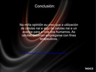 Conclusión:  Na miña  opinión  eu creo que a utilización de células nai e algo de celulas nai e un avance para a vida dos humamos. As células deberian empregarse con fines terapeuticos. ÍNDICE http://www.ecojoven.com/uno/05/celulasm.html 
