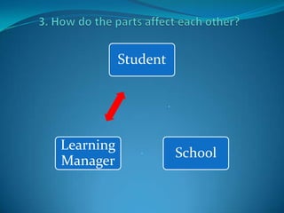3. How do the parts affect each other?