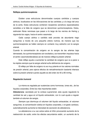 Autora: Cecilia Andrea Artigas - © Apuntes de Anatomia                        14


Reflejos quimiorreceptores


       Existen unas estructuras denominadas cuerpos carótidos y cuerpos
aórticos, localizados en las bifurcaciones de las carótidas y a lo largo del arco
de la aorta. Estas estructuras contienen receptores sensitivos especializados
sensibles a la falta de oxígeno que se denominan quimiorreceptores. Estos,
estimulan fibras nerviosas que pasan a lo largo de los nervios de Hering y
siguiendo los vagos, hacia el centro vasomotor.
       Cada cuerpo aórtico o carótido está provisto de abundante riego
sanguíneo a través de una pequeña arteria nutricia, de manera que los
quimiorreceptores se hallan siempre en contacto muy estrecho con la sangre
arterial.
Cuando la concentración de oxígeno en la sangre de las arterias baja
demasiado, los quimiorreceptores son excitados y se transmiten impulsos hacia
el centro vasomotorelevádose así de manera refleja la presión arterial.
       Este reflejo ayuda a aumentar la cantidad de oxígeno que va a parar a
los tejidos siempre que la sangre arterial sufra deficiencia de oxígeno.
       El reflejo por falta de oxígeno no es muy potente en los valores normales
de presión arterial, pero ejerce efectos de retroalimentación bastante intensos
sobre la presión arterial cuando aquello es del orden de 40 a 80 mmhg.


Regulación humoral


       La misma es regulada por sustancias como hormonas, iones etc., de los
líquidos corporales. Entre los más importantes están:
Aldosterona: secretada por la corteza suprarrenal, esta ayuda regulando la
cantidad de sal y agua en el líquido extracelular, con lo cual ayuda a regular
también el volumen de sangre.
       Siempre que disminuye el volumen del líquido extracelular, el volumen
sanguíneo, la concentración sódica en líquidos corporales, o el gasto cardíaco,
automáticamente aumenta la intensidad de secreción de aldosterona.
       La aldosterona a su vez actúa sobre el riñón provocando aumento de la
reabsorción de sodio; entre los efectos secundarios están, un aumento de la
 