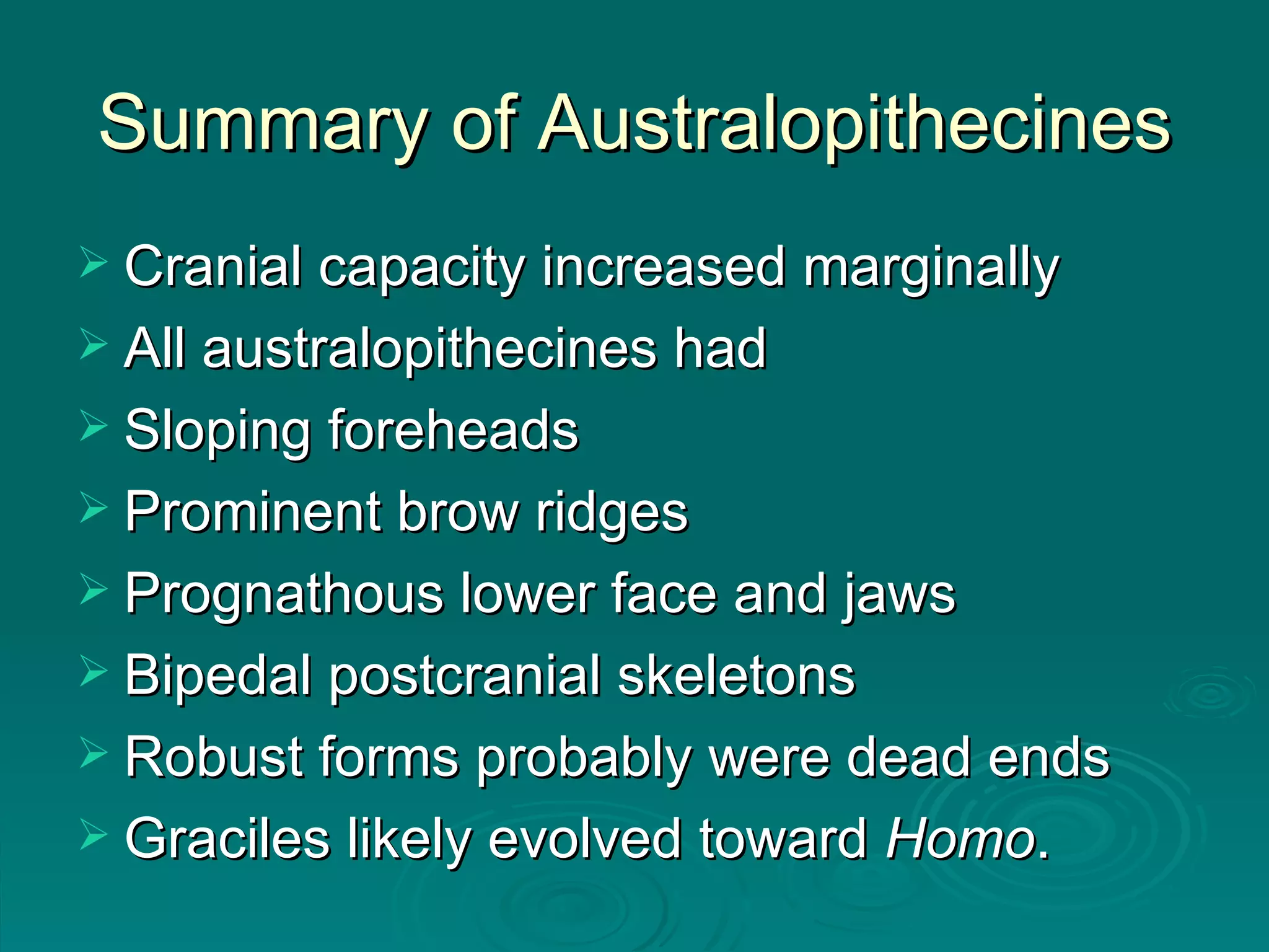 Summary of Australopithecines Cranial capacity increased marginally All australopithecines had Sloping foreheads Prominent brow ridges Prognathous lower face and jaws Bipedal postcranial skeletons Robust forms probably were dead ends   Graciles likely evolved toward  Homo .  
