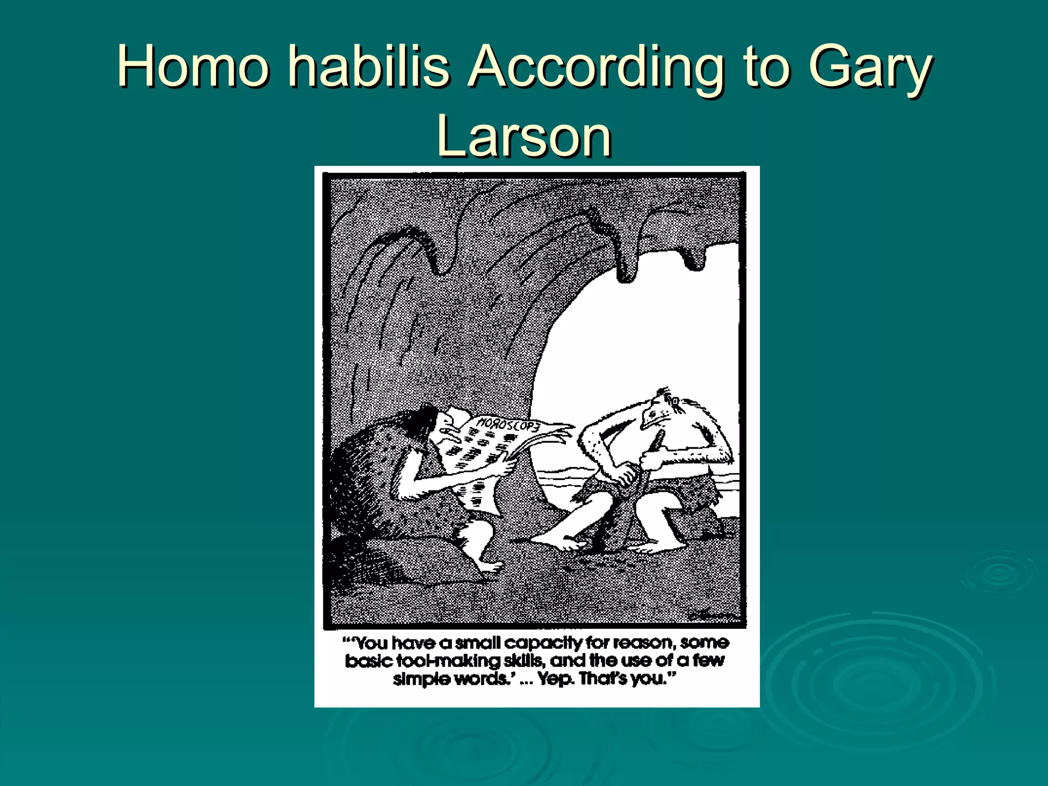 Homo habilis According to Gary Larson 