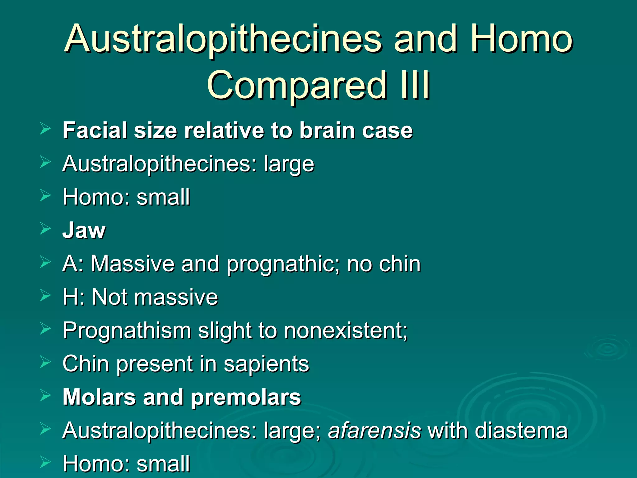Australopithecines and Homo Compared III Facial size relative to brain case Australopithecines: large Homo: small Jaw A: Massive and prognathic; no chin H: Not massive Prognathism slight to nonexistent; Chin present in sapients Molars and premolars Australopithecines: large;  afarensis  with diastema Homo: small 