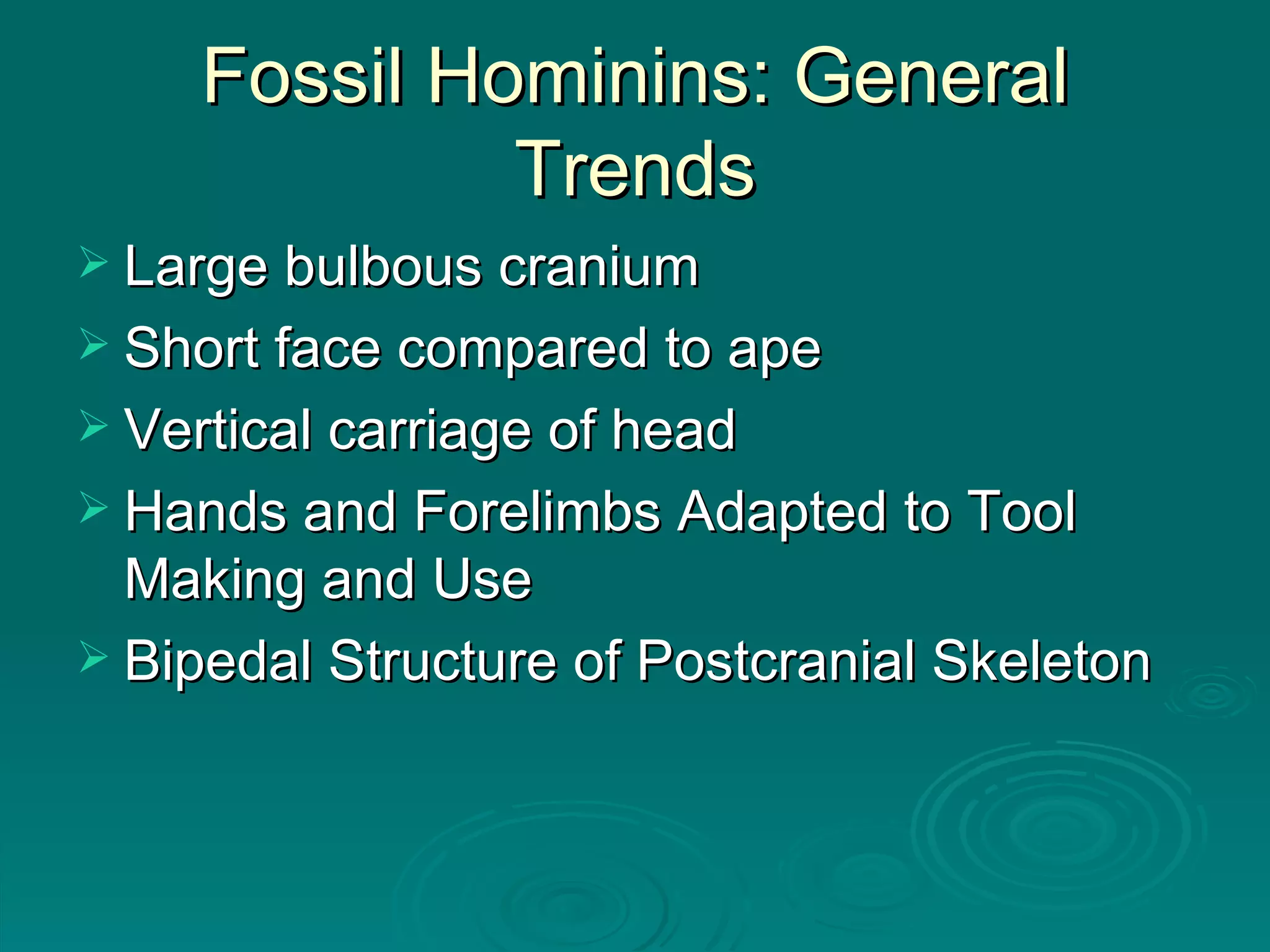 Fossil Hominins: General Trends Large bulbous cranium Short face compared to ape Vertical carriage of head Hands and Forelimbs Adapted to Tool Making and Use Bipedal Structure of Postcranial Skeleton 