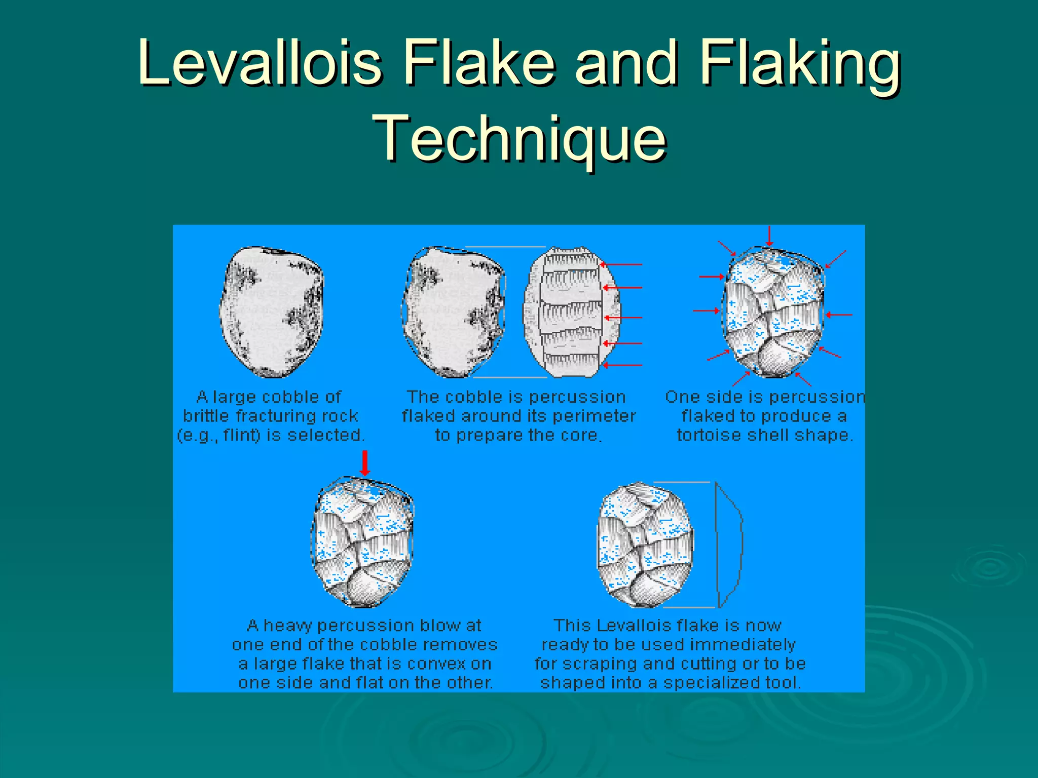 Levallois Flake and Flaking Technique 