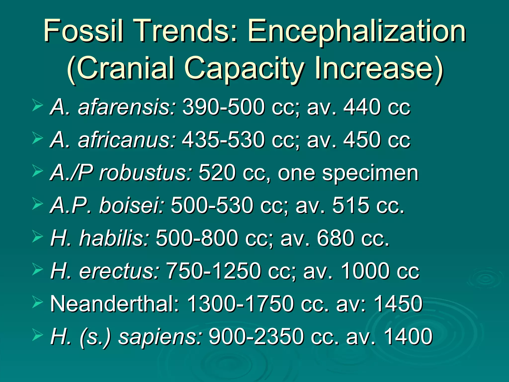 Fossil Trends: Encephalization (Cranial Capacity Increase) A. afarensis:  390-500 cc; av. 440 cc A. africanus:  435-530 cc; av. 450 cc A./P robustus:  520 cc, one specimen A.P. boisei:  500-530 cc; av. 515 cc. H. habilis:  500-800 cc; av. 680 cc. H. erectus:  750-1250 cc; av. 1000 cc Neanderthal: 1300-1750 cc. av: 1450   H. (s.) sapiens:  900-2350 cc. av. 1400 